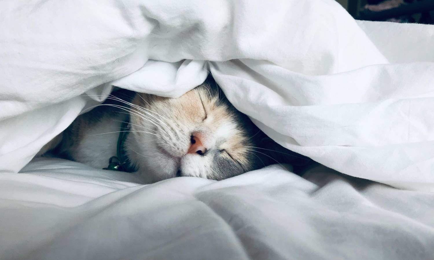 Tips for Better Sleep